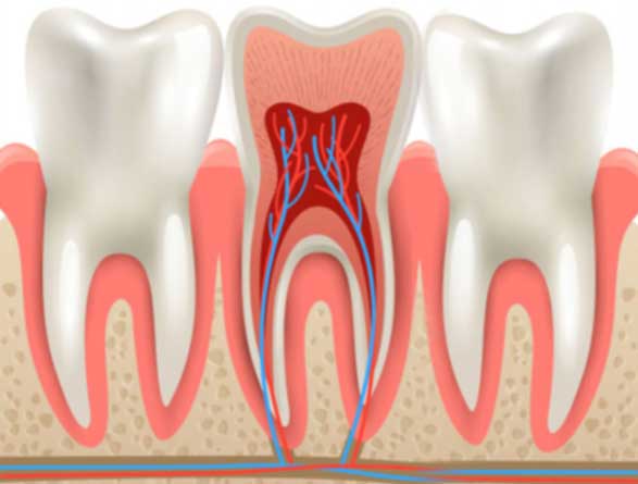 Κλασσική Οδοντιατρική Denta